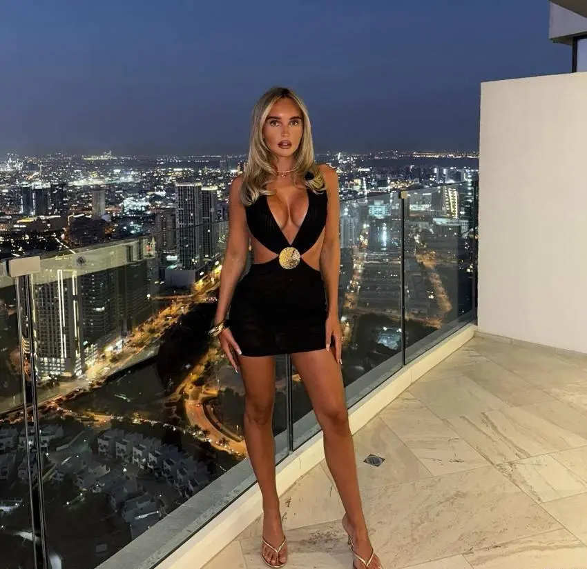 Profil de Palmire à Sèvremoine (49230)